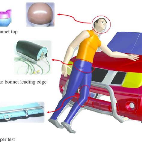 pedestrian impact test video|Meet the Dummies .